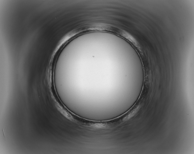 X0000086231130200704051150
