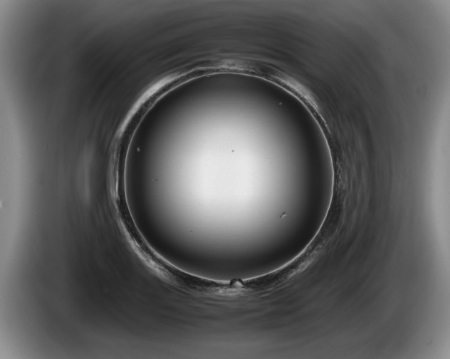 X0000086231131200704051150