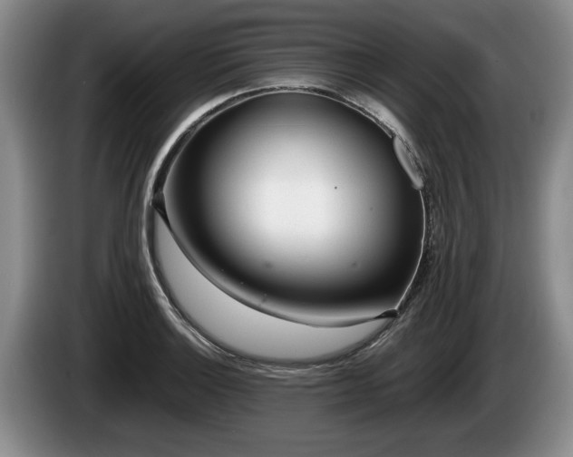 X0000086231132200704051150
