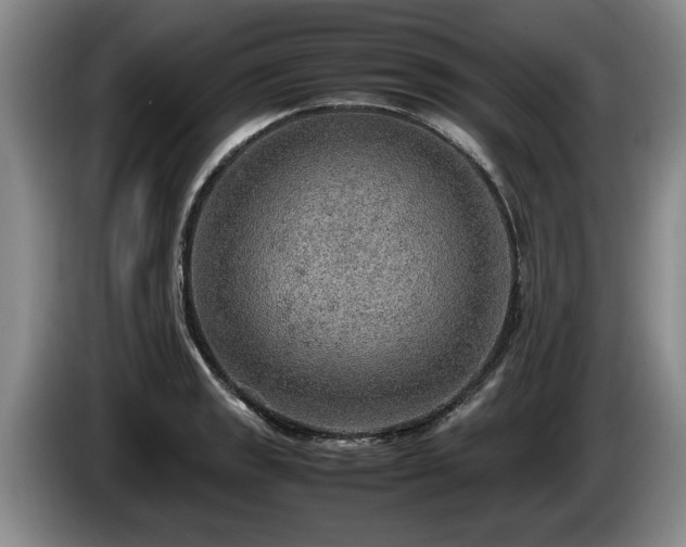 X0000086231133200704051150