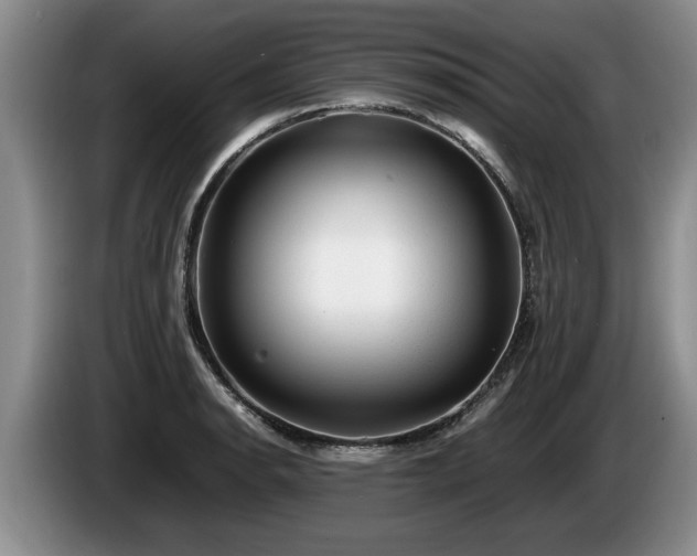 X0000086231134200704051150