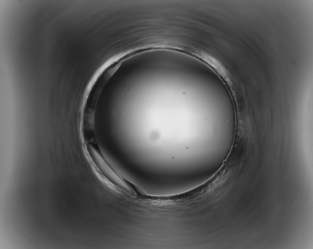 X0000086231136200704051150