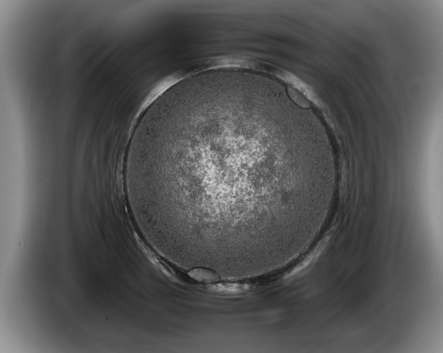 X0000086231137200704051150