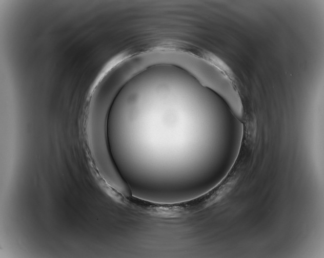 X0000086231138200704051151