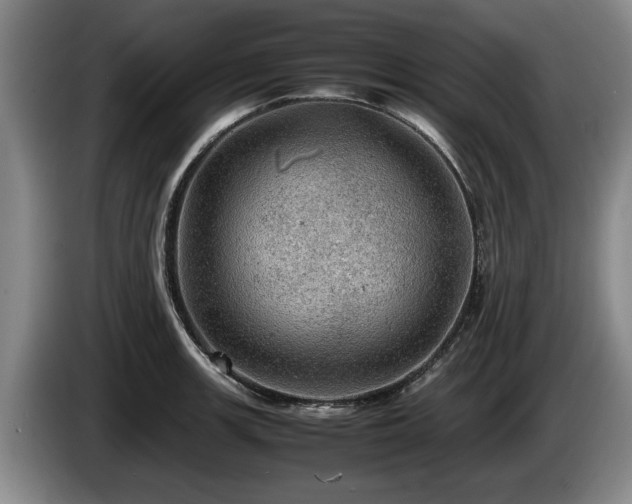 X0000086231139200704051151