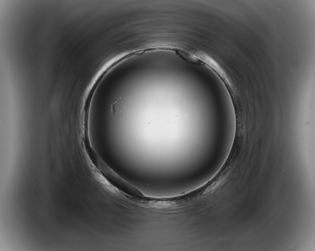 X0000086231140200704051151