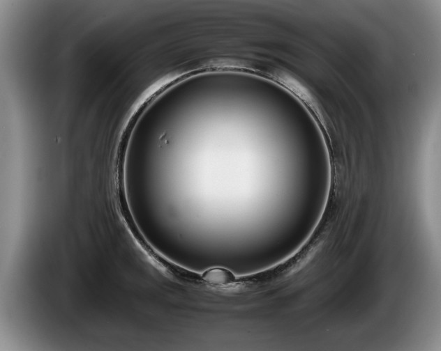 X0000086231141200704051151