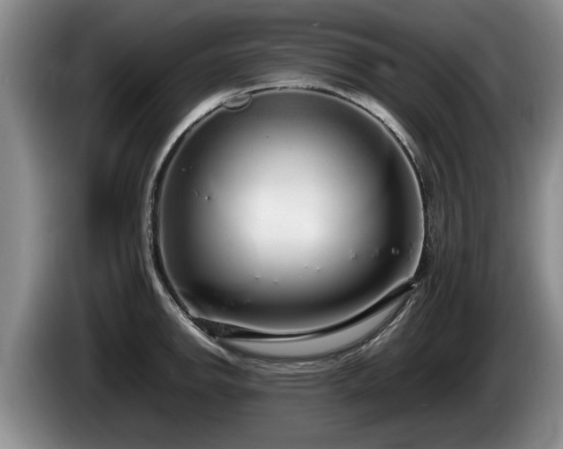 X0000086231142200704051151