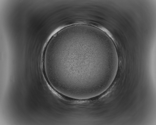 X0000086231143200704051151