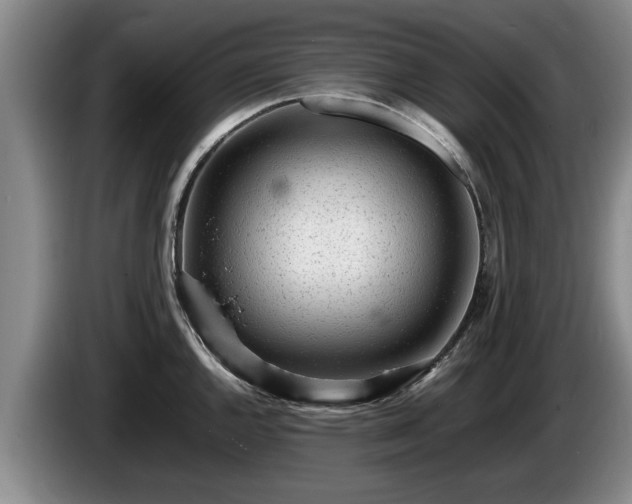 X0000086231144200704051151