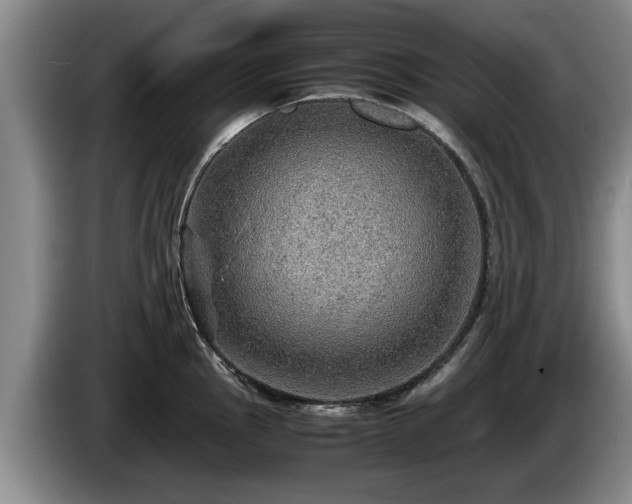 X0000086231145200704051151