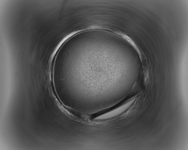 X0000086231148200704051151