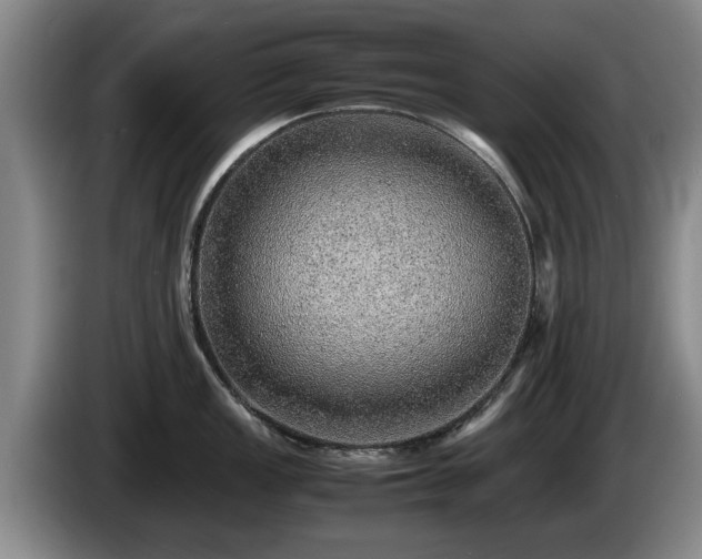 X0000086231149200704051151