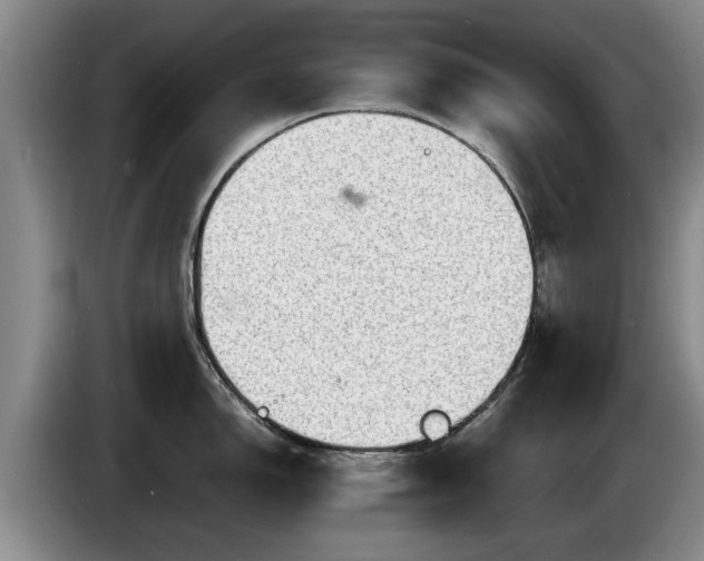 X0000086231150200704051151