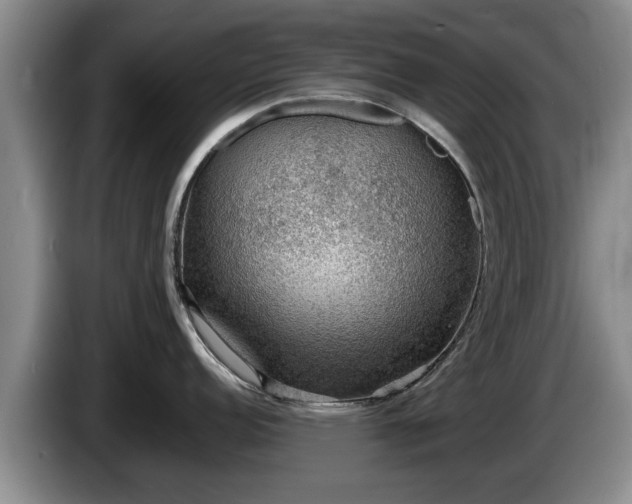 X0000086231152200704051151