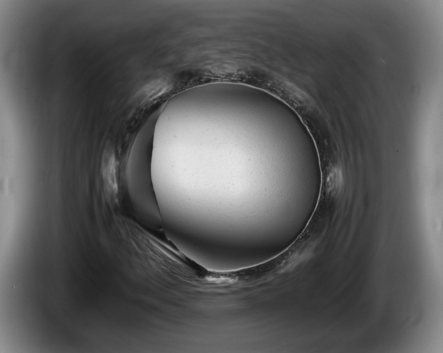 X0000086231156200704051150