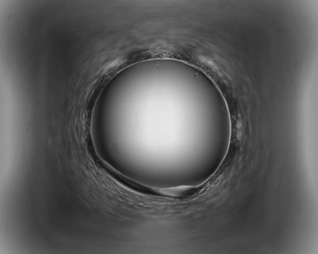X0000086231157200704051150