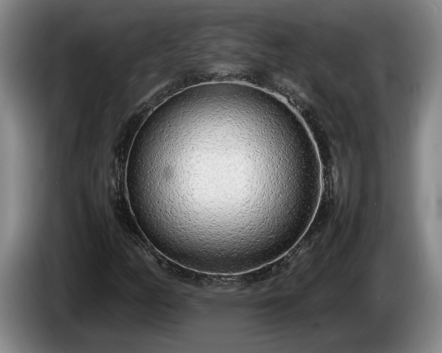 X0000086231158200704051150