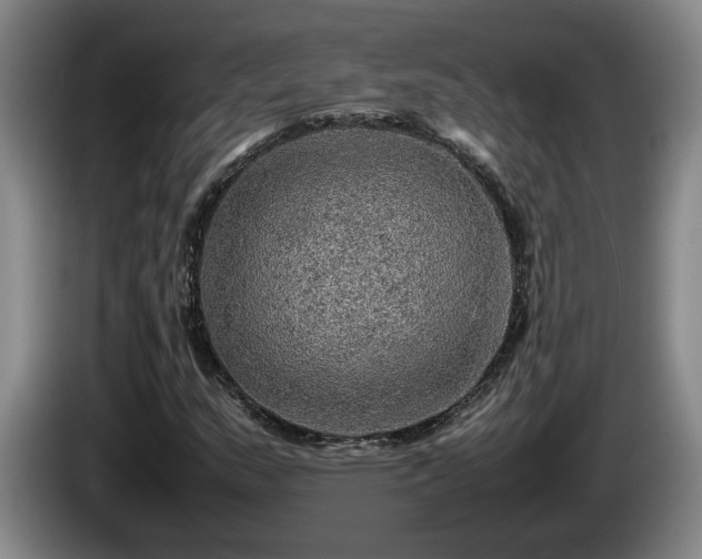 X0000086231159200704051150