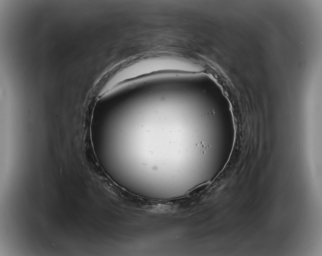 X0000086231160200704051150
