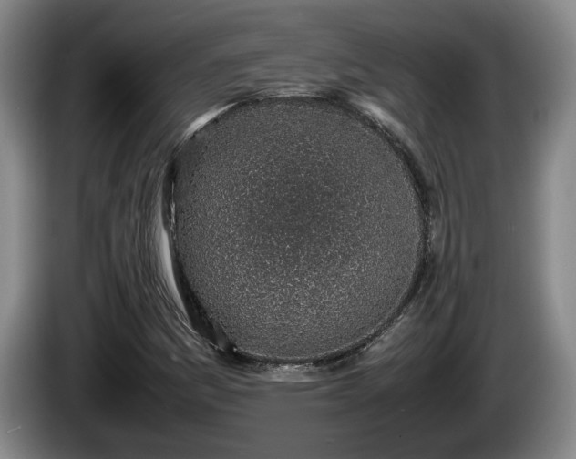 X0000086231161200704051150