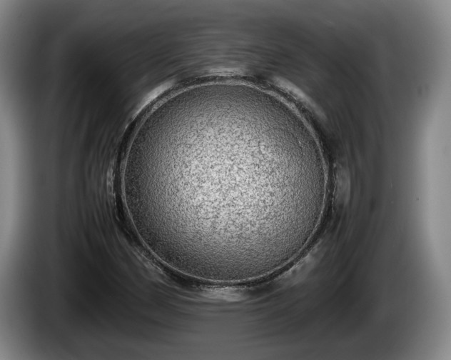 X0000086231162200704051150