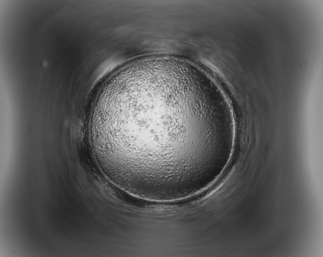 X0000086231163200704051150