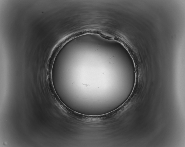 X0000086231164200704051150