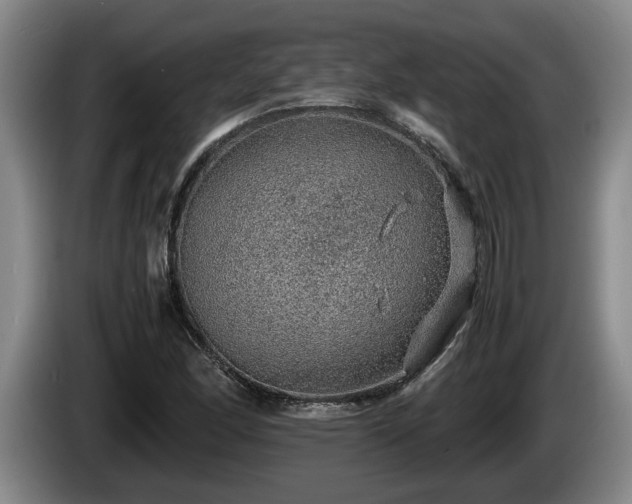 X0000086231166200704051150