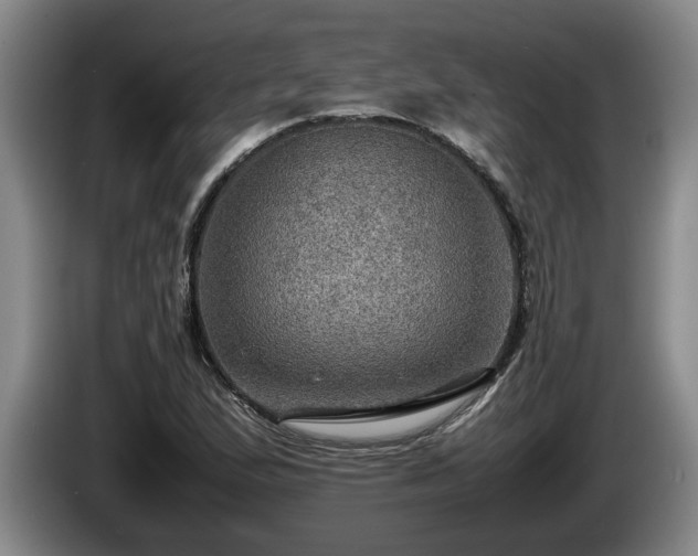 X0000086231167200704051150