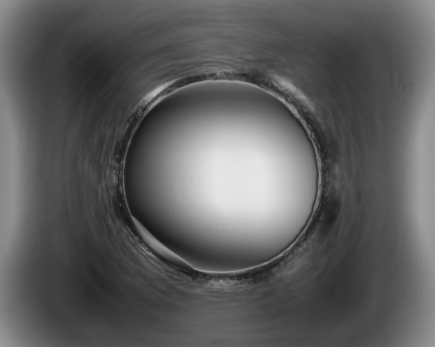 X0000086231169200704051150
