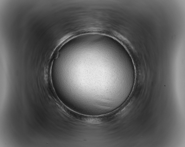 X0000086231170200704051150