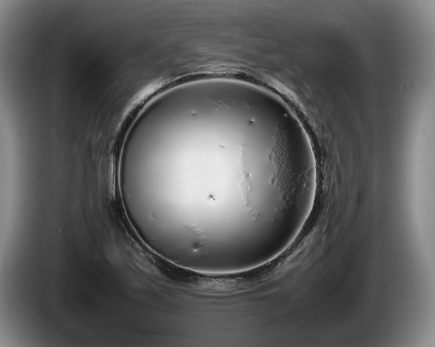 X0000086231171200704051150