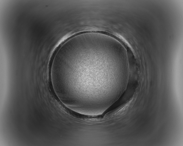 X0000086231173200704051150