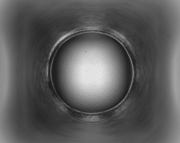 X0000086231174200704051150