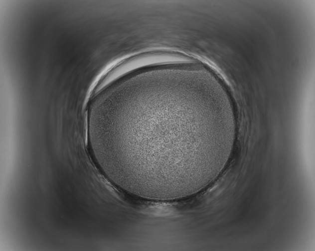 X0000086231175200704051150