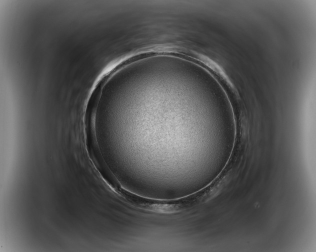 X0000086231176200704051150
