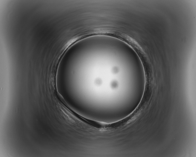 X0000086231177200704051150