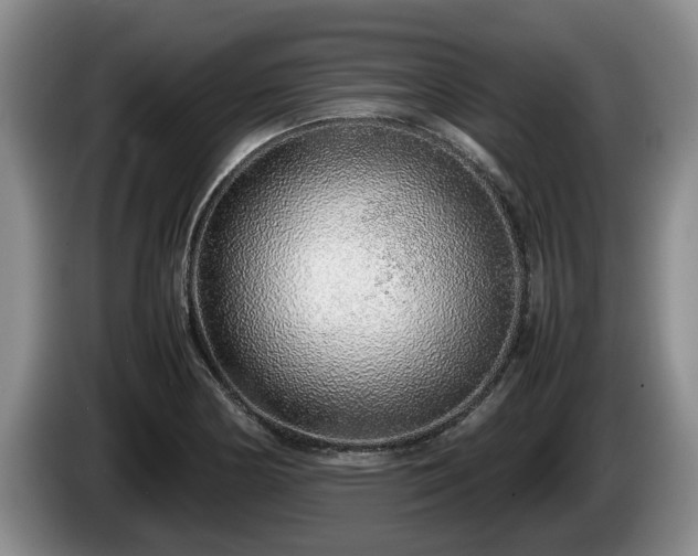 X0000086231178200704051150