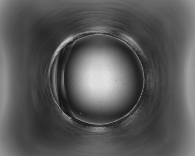 X0000086231180200704051150