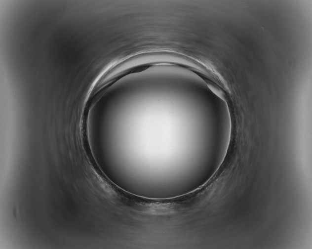 X0000086231181200704051150