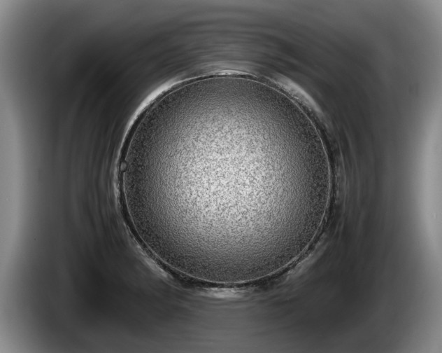 X0000086231182200704051150