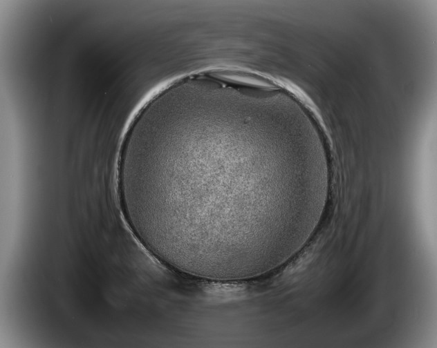 X0000086231183200704051150
