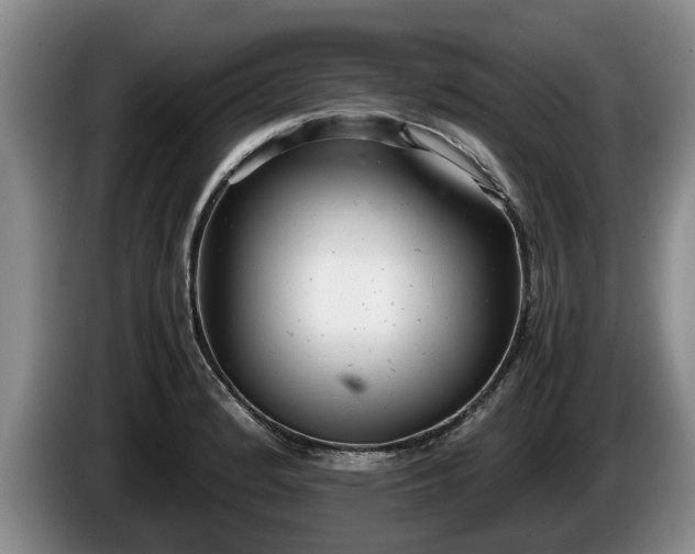 X0000086231184200704051150