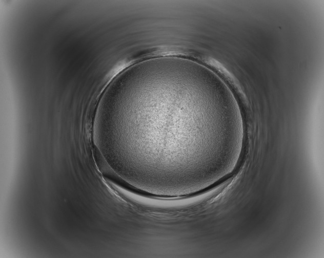 X0000086231185200704051150