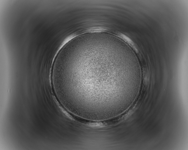 X0000086231186200704051150