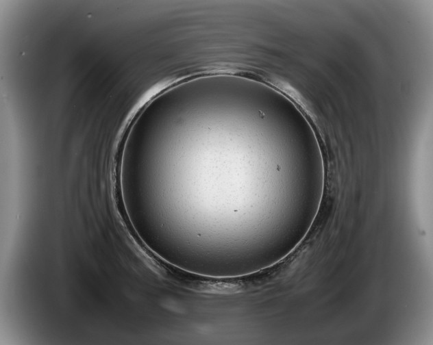 X0000086231187200704051150