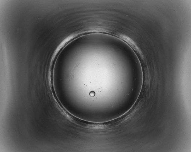 X0000086231188200704051150