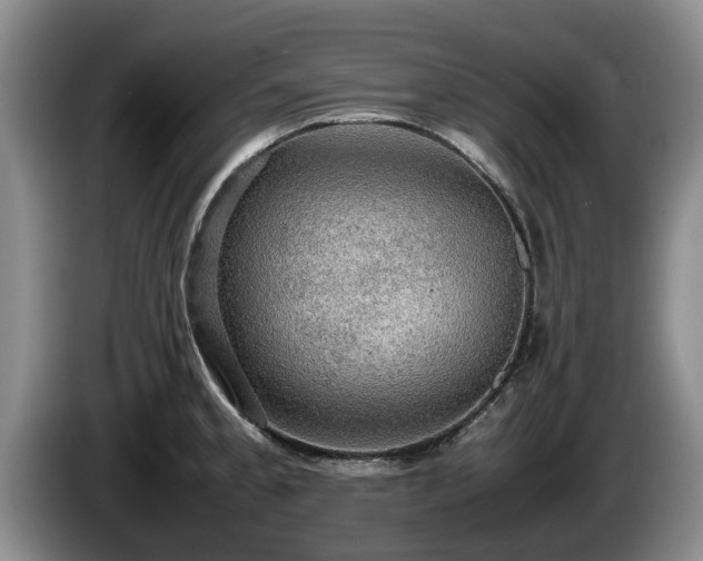 X0000086231189200704051150