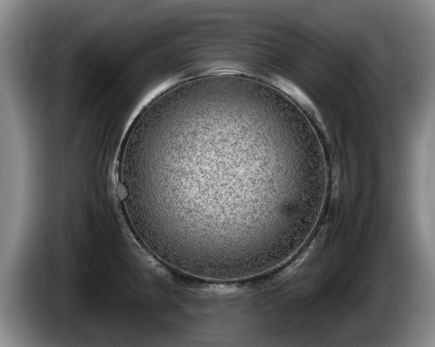 X0000086231190200704051150
